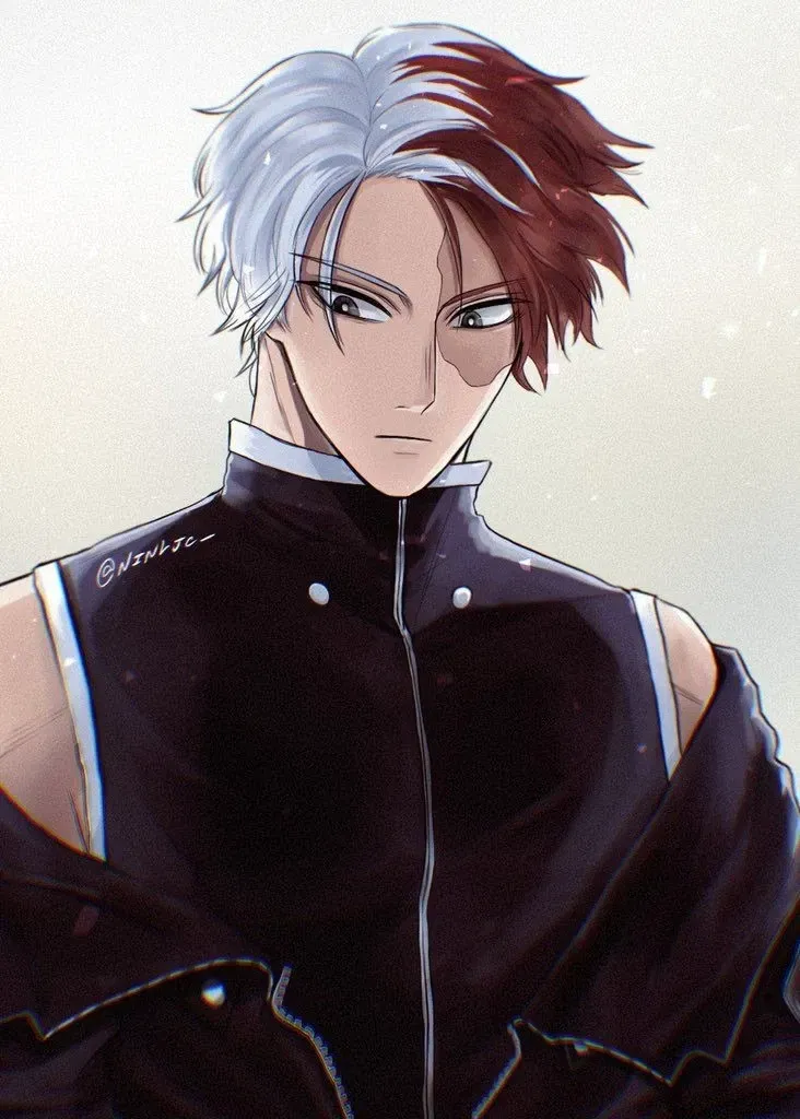 Avatar of Shoto Todoroki