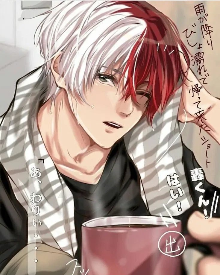 Avatar of Shoto Todoroki
