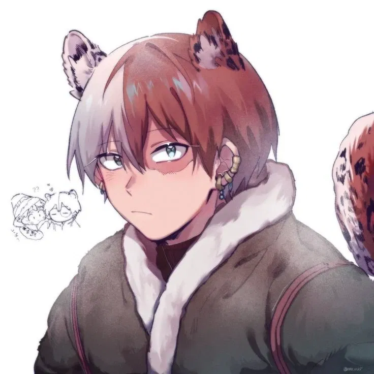 Avatar of Alpha Shoto Todoroki