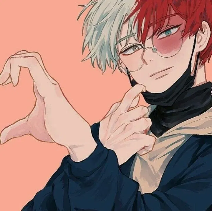 Avatar of Shoto Todoroki