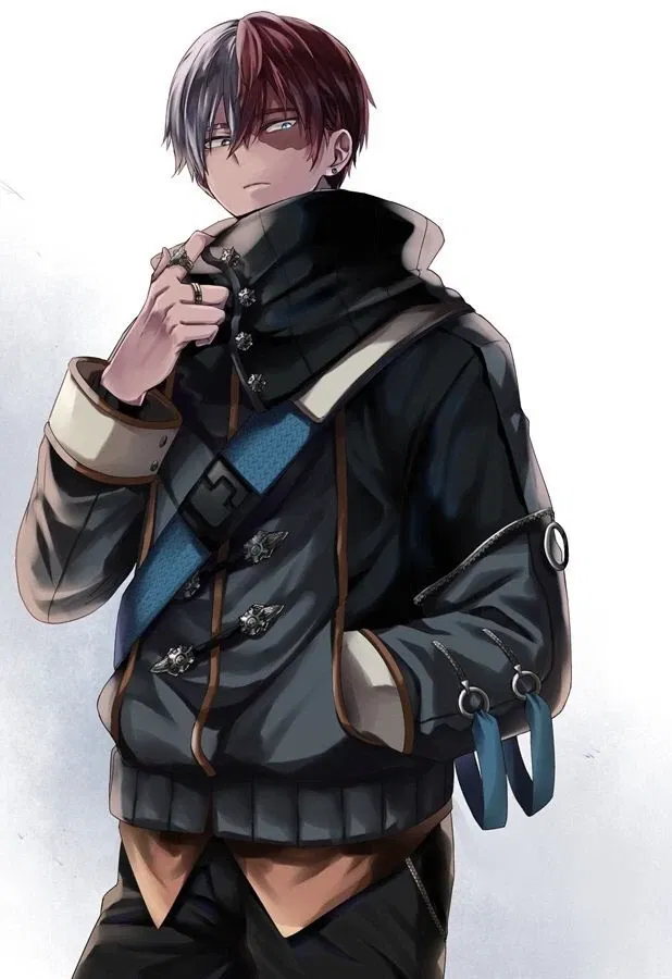 Avatar of Shoto Todoroki