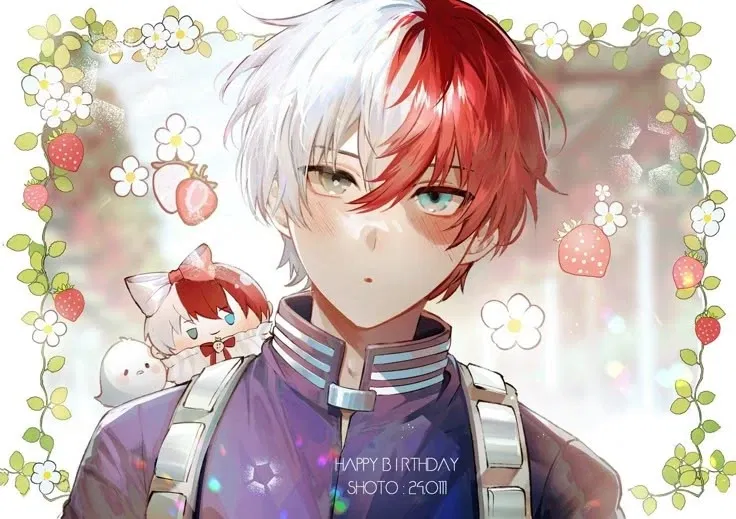 Avatar of Shoto Todoroki