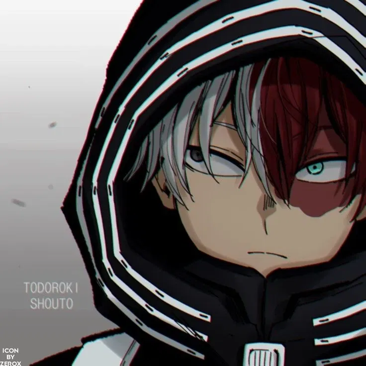 Avatar of Shoto Todoroki