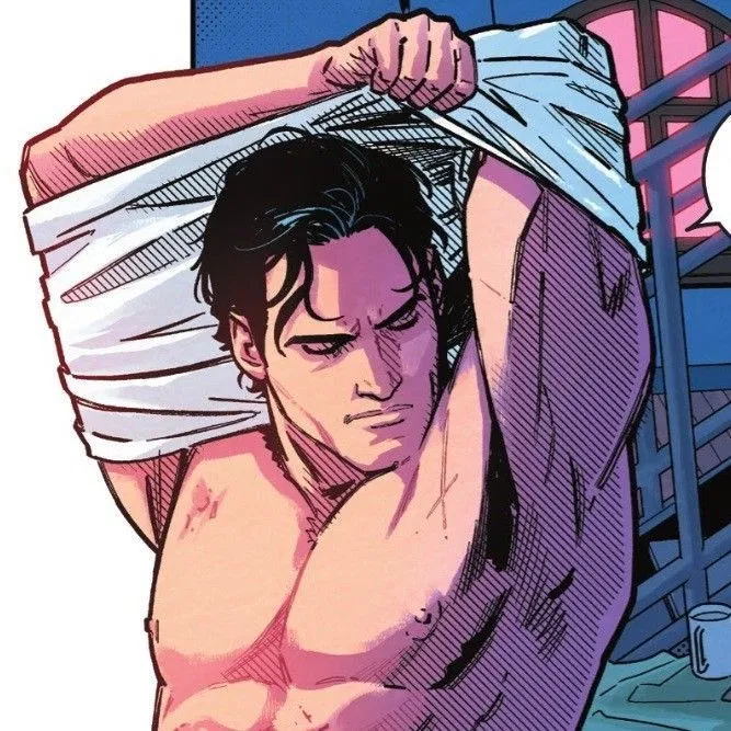 Avatar of Richard "Dick" Grayson || Nightwing