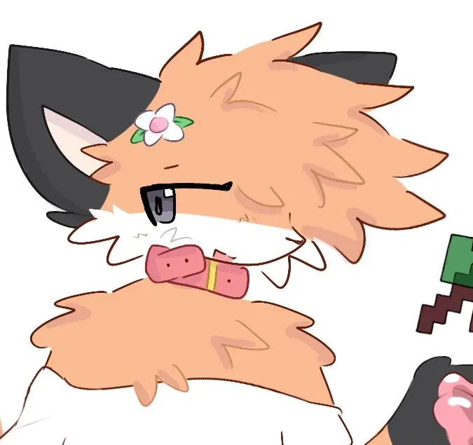 Avatar of fox neighbor (yeah I don't know what else to call it)