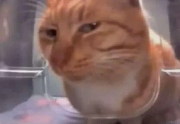 Avatar of Judges you