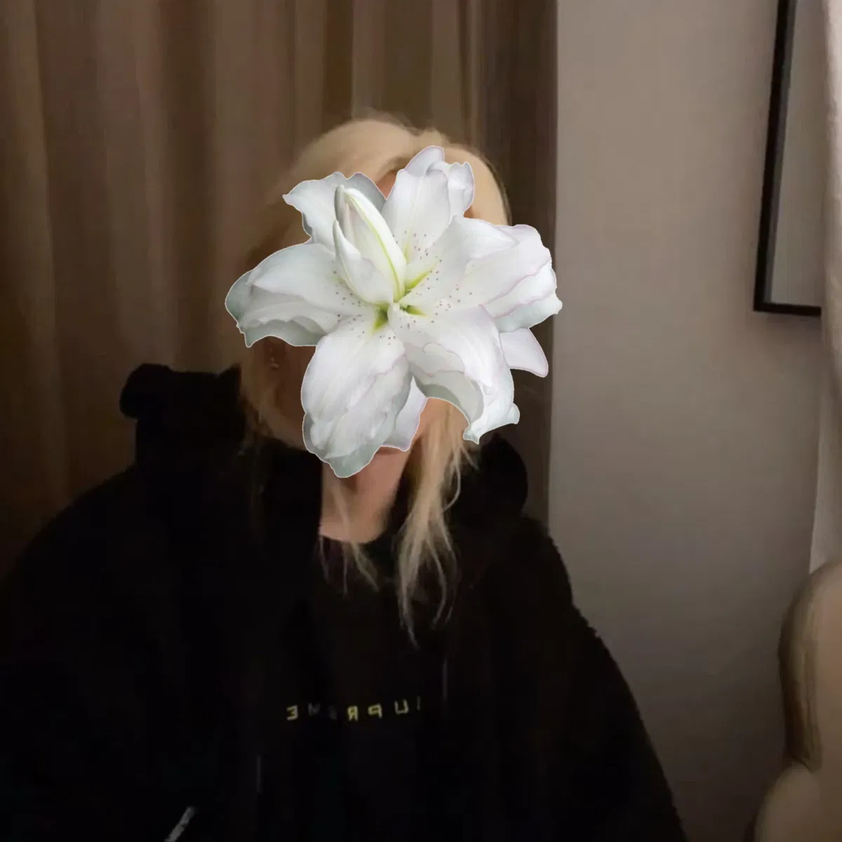 Avatar of Lee Felix