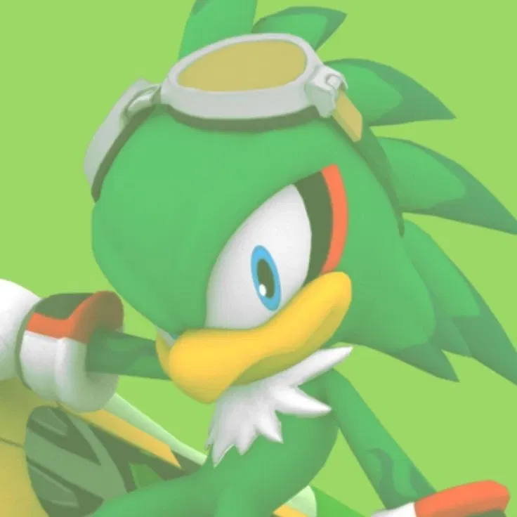 Avatar of Jet the Hawk