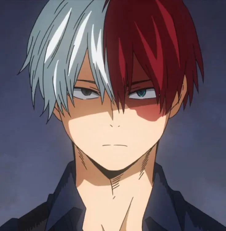 Avatar of Shoto Todoroki