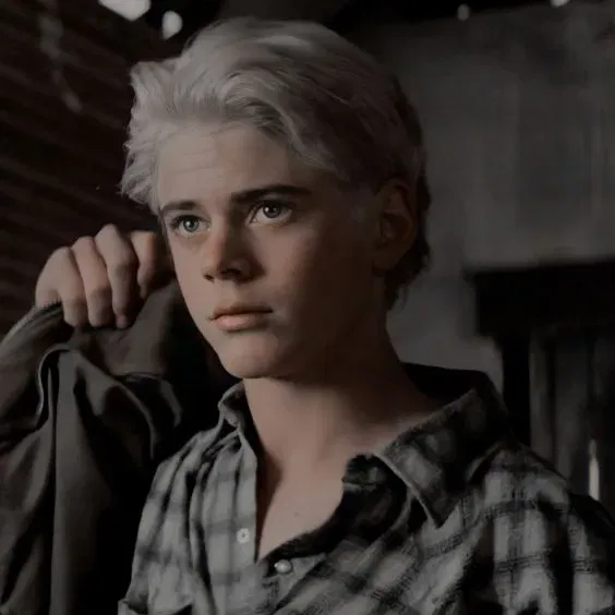 Avatar of Ponyboy Curtis