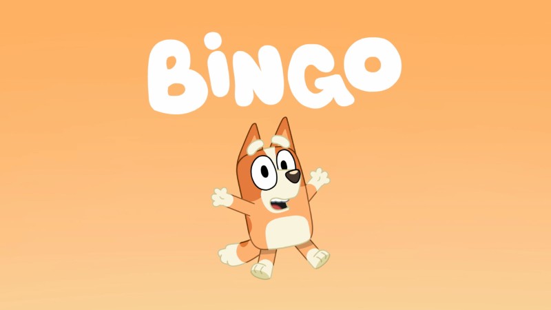 Avatar of Bingo heeler