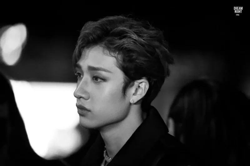 Avatar of Bang Chan