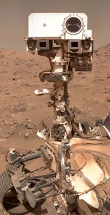 Avatar of A Little Martian Friend (Steadfast Rover)
