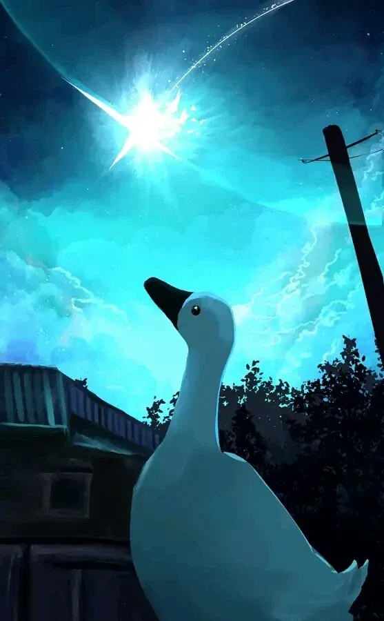 Avatar of Duck in Portugal