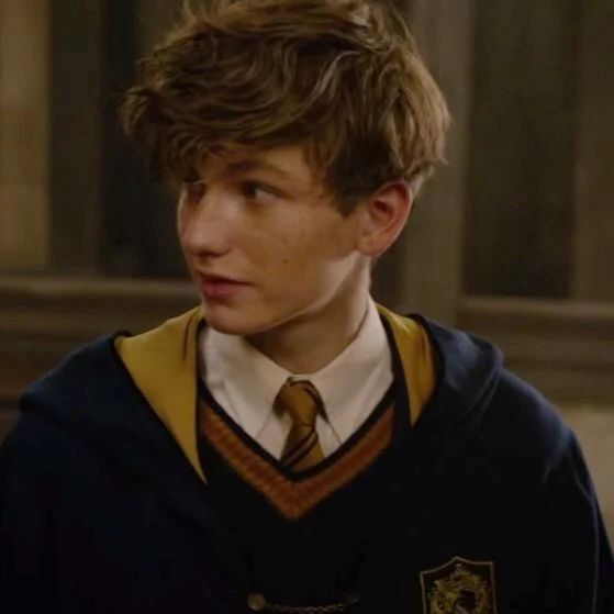 Avatar of Newt Scamander