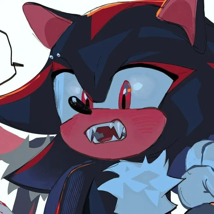 Avatar of SHADOW THE HEDGEHOG 