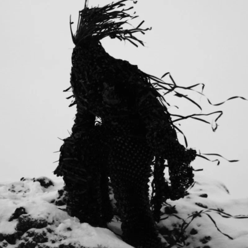 Avatar of Scp 2521