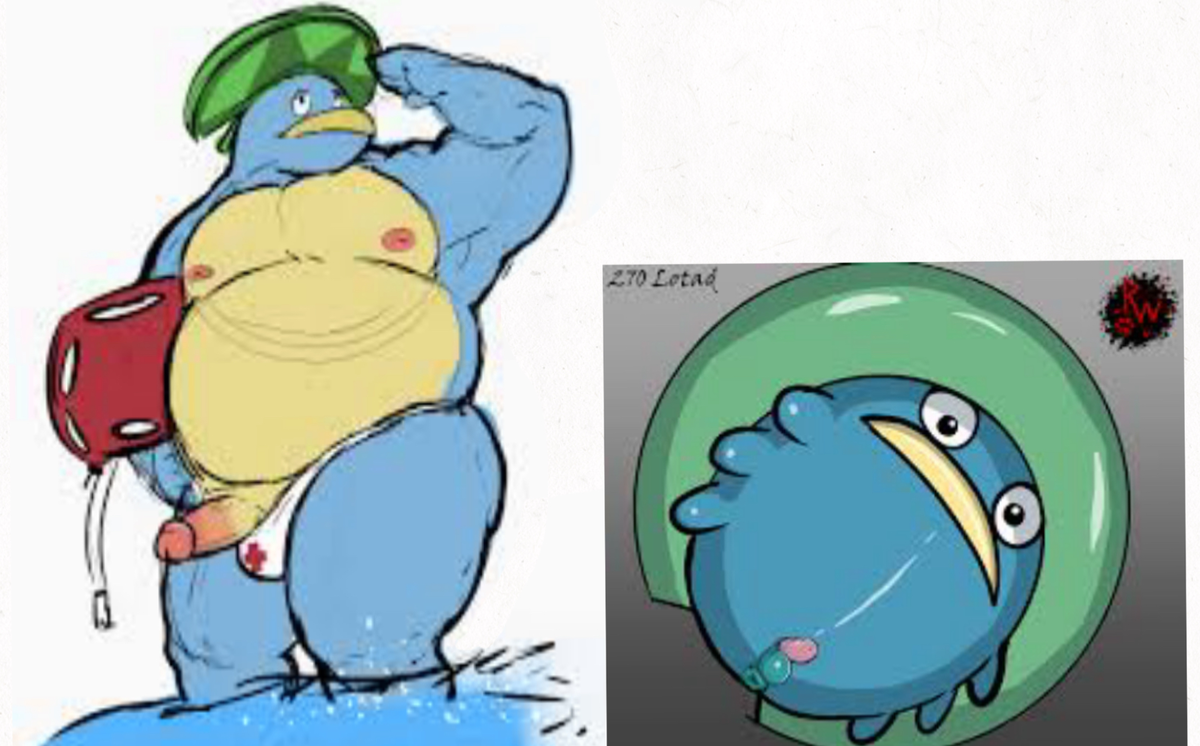Avatar of The Pokémon lotad