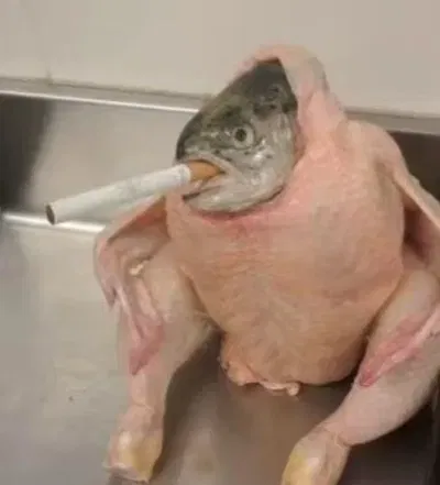 Avatar of Fish