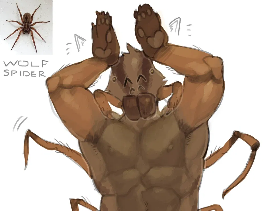 Avatar of Wolf Spider