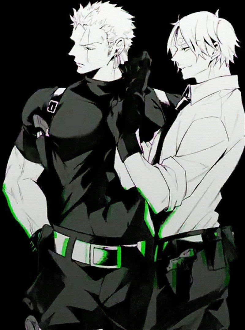 Avatar of Zoro & Sanji (Bodyguard AU)