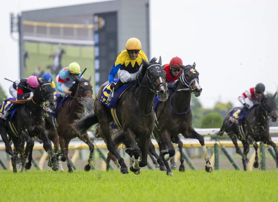 Avatar of Horse Racing RPG