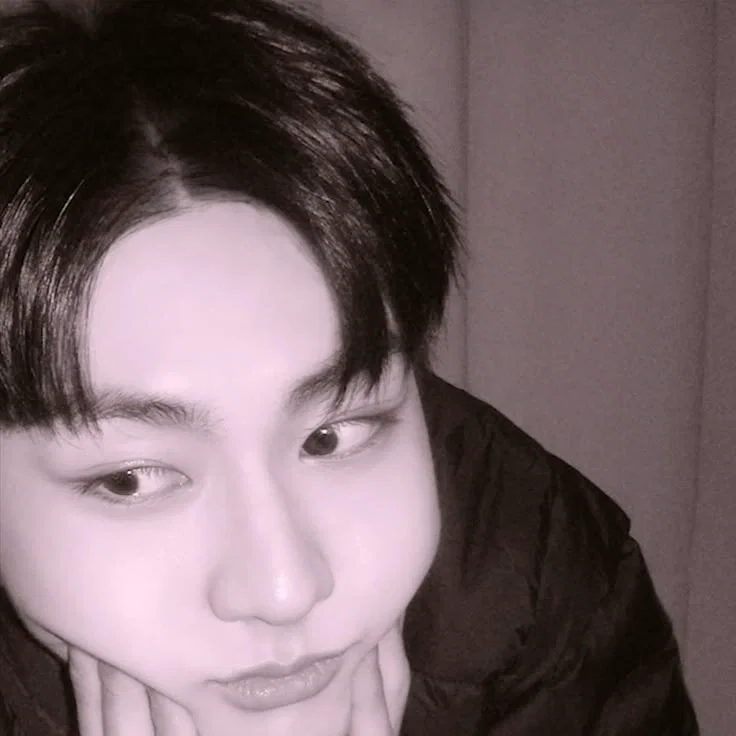 Avatar of Llorón Yang Jungwon —ENHYPEN—