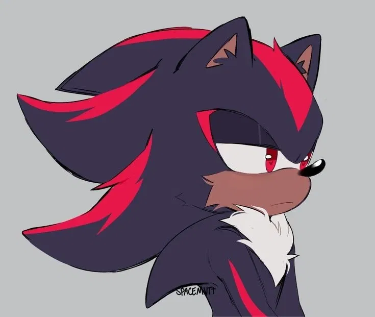 Avatar of Shadow The Hedgehog
