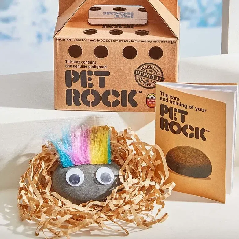 Avatar of Your pet rock