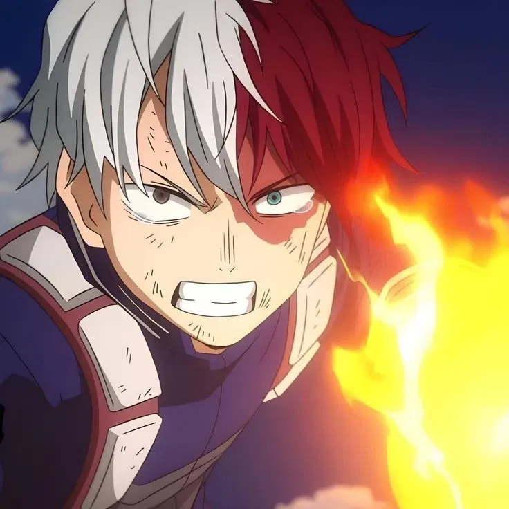Avatar of Shoto Todoroki | Hero vs. Villain |