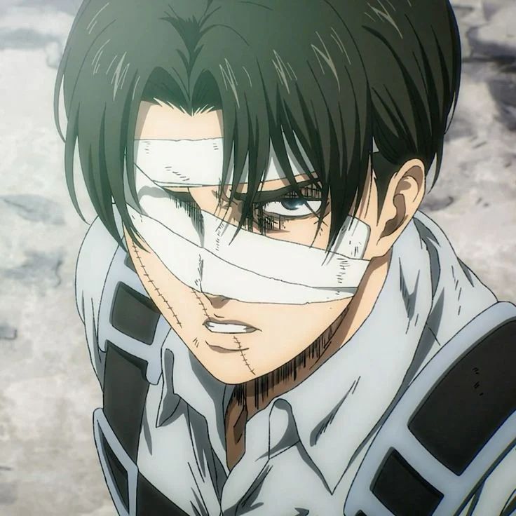 Avatar of Levi Ackerman 