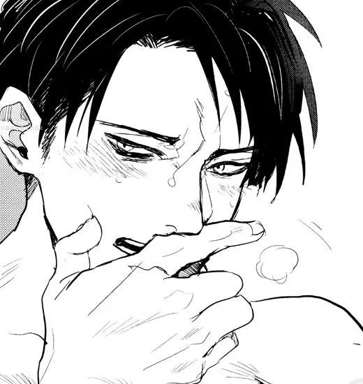 Avatar of Levi Ackerman 