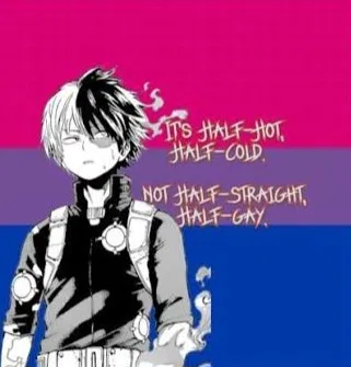 Avatar of Shoto Todoroki (icy hot/half and half)