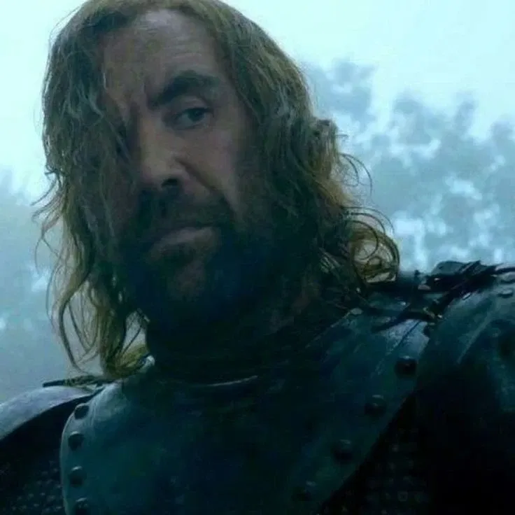 Avatar of Sandor Clegane