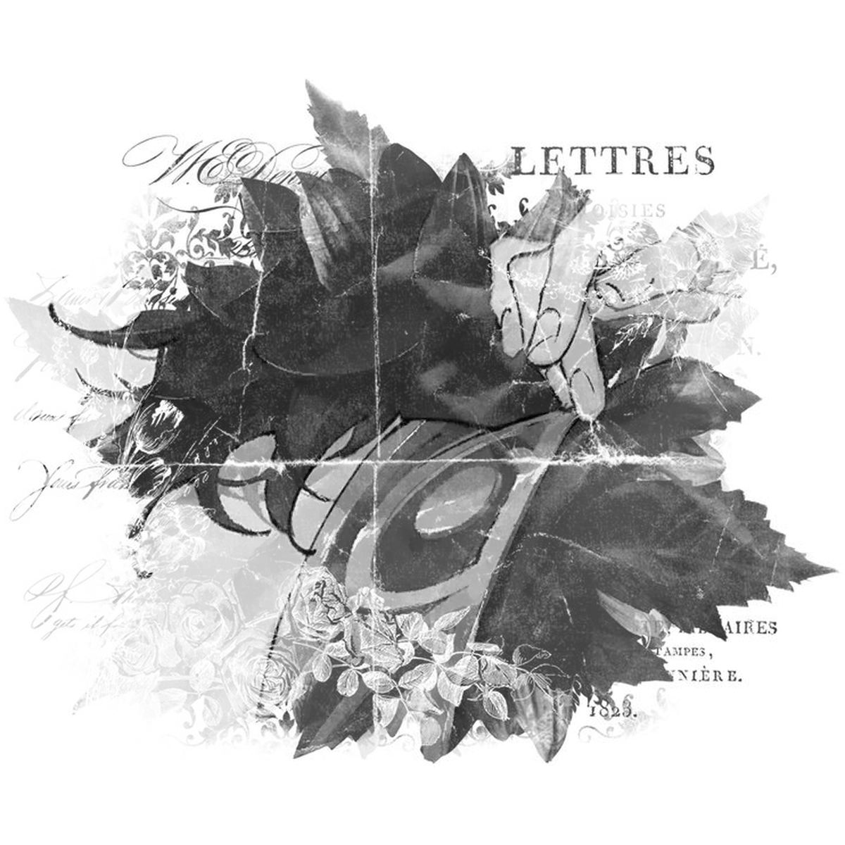 Avatar of DR. RATIO VERITAS