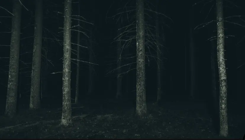 Avatar of Akanoa Forest | Retake