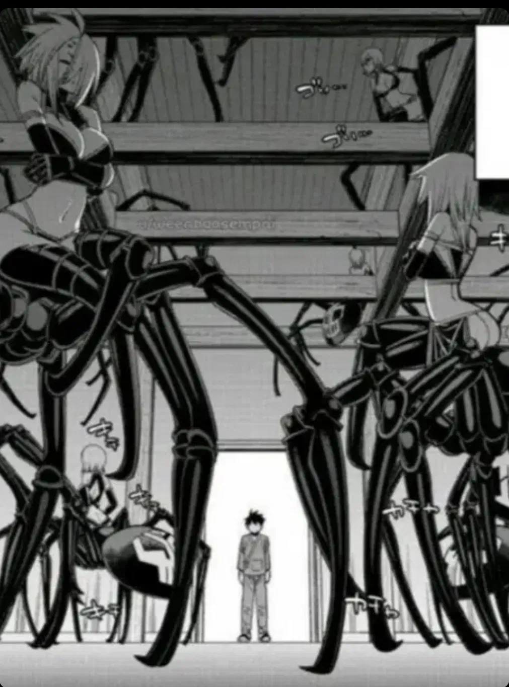 Avatar of Dairy Spider Girls Farm