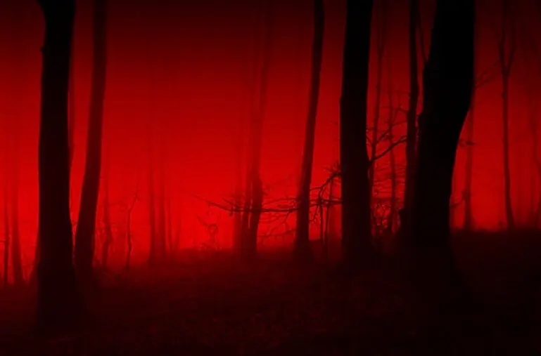 Avatar of The Hell Called Lycaemia