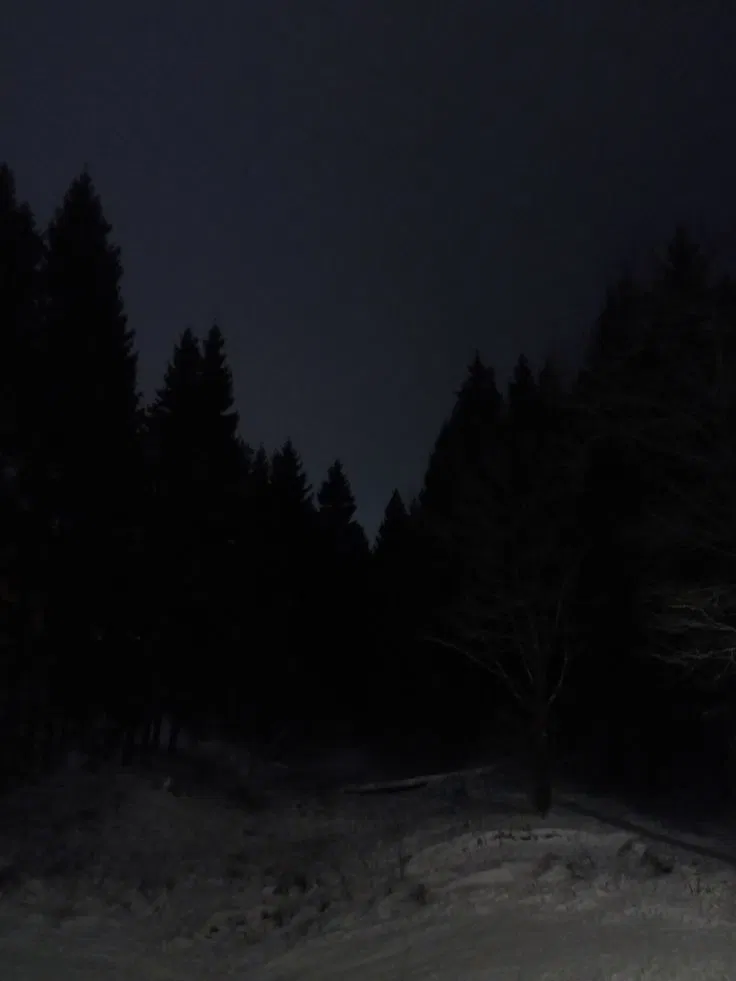 Avatar of Whispers Beneath The Snow 