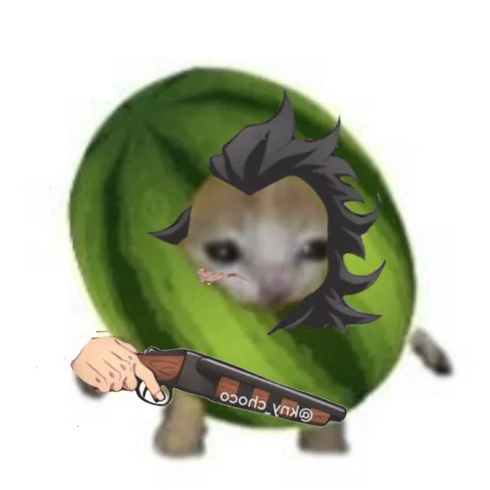 Avatar of Weekly update #1