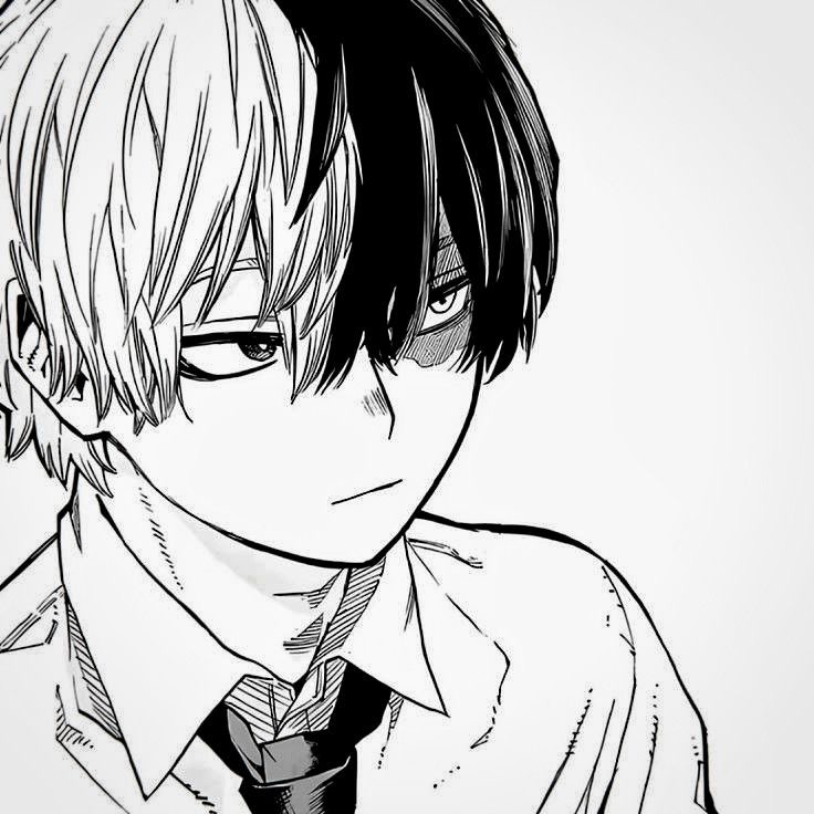 Avatar of Shoto Todoroki