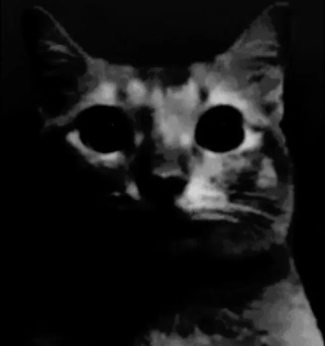Avatar of SJIAISJANAIAWMSKSOOPWP