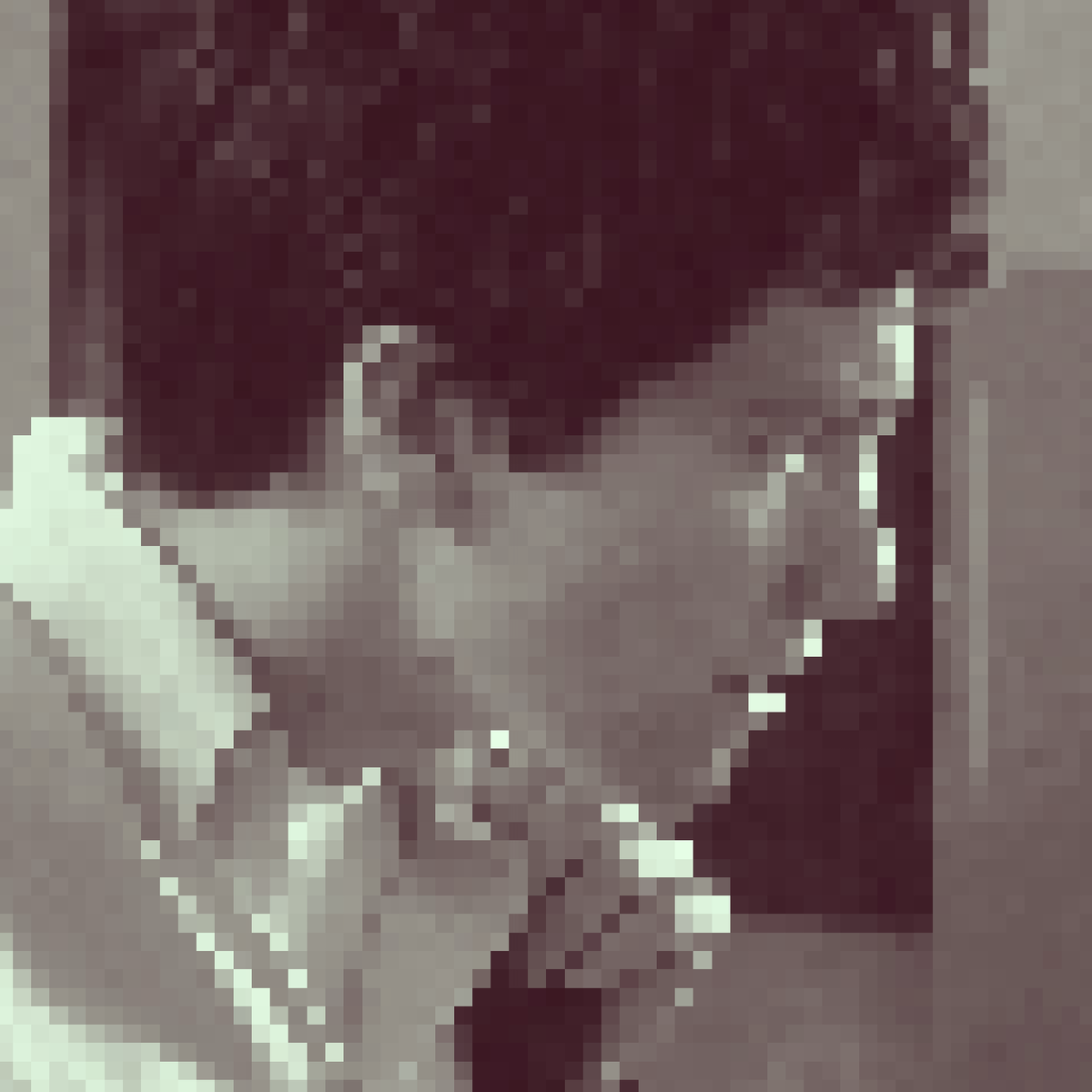 Avatar of Donnie Darko