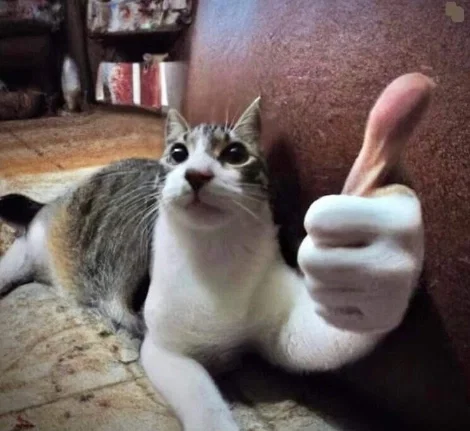 Avatar of 100 Followers!