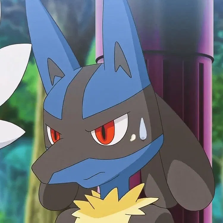 Avatar of Your Lucario <3