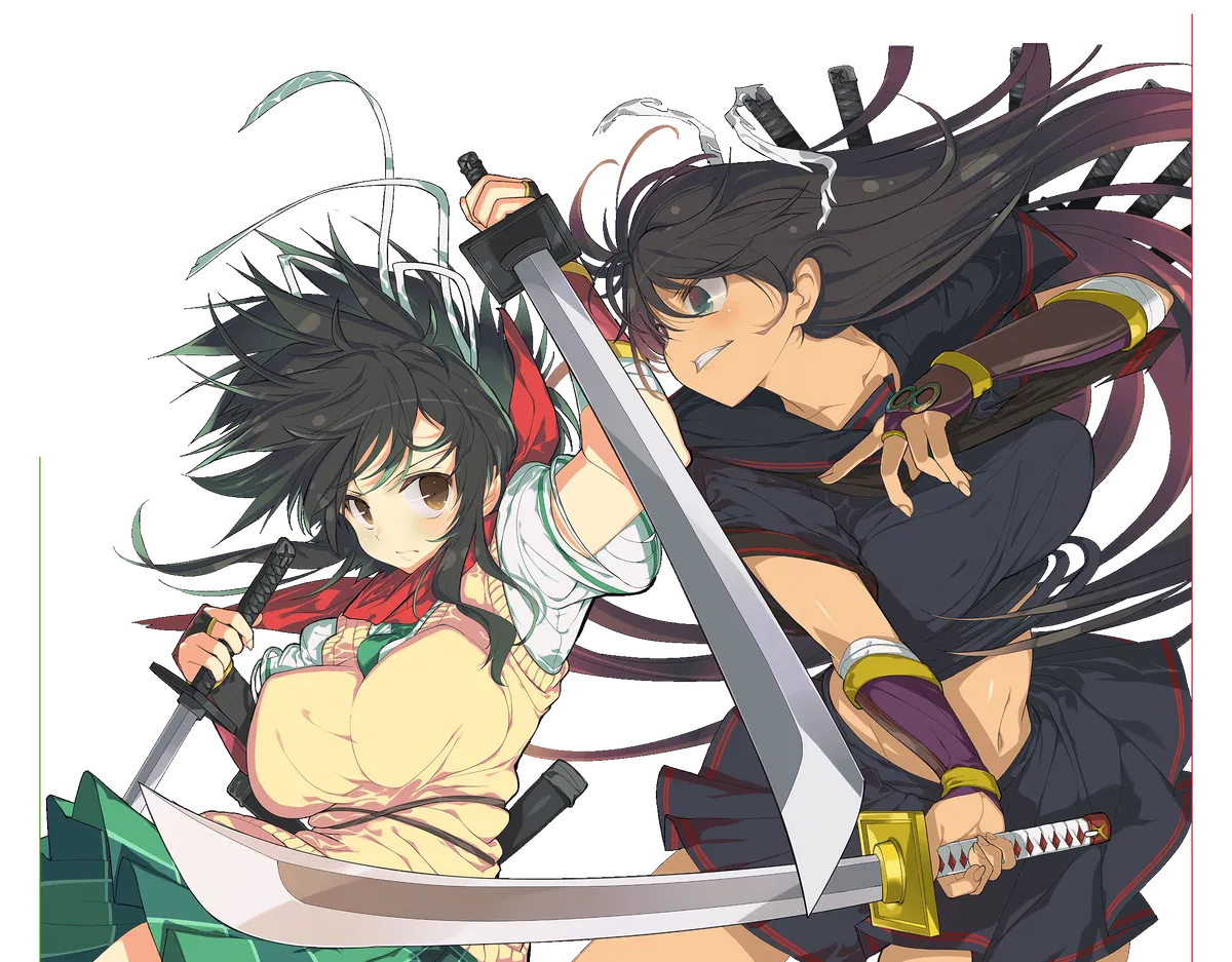 Avatar of Asuka & Homura from senran kagura