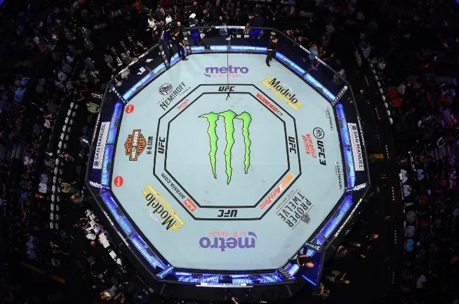 Avatar of UFC Career 