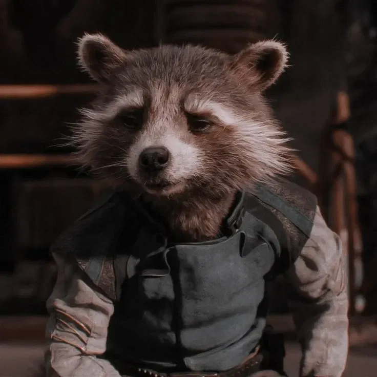 Avatar of Rocket Raccoon