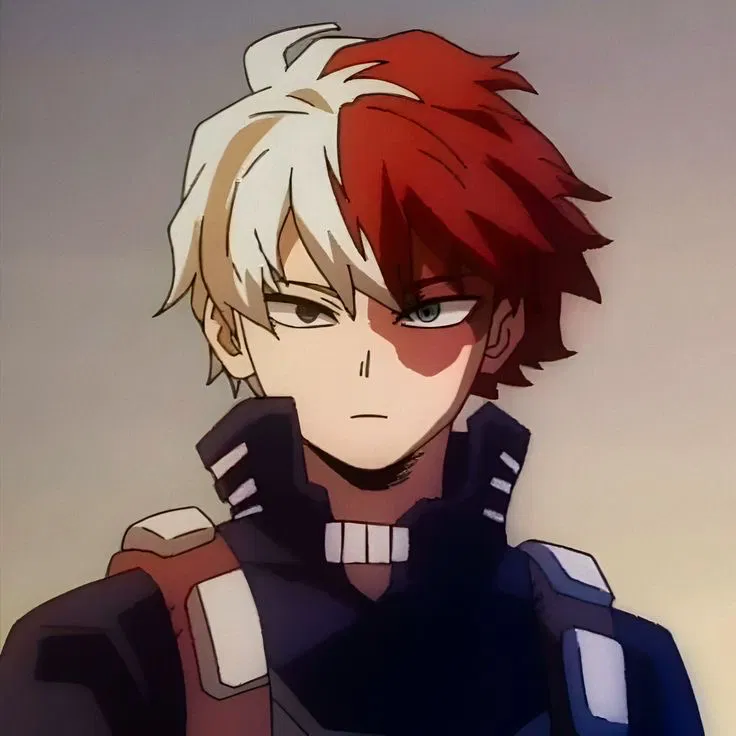 Avatar of Shoto Todoroki