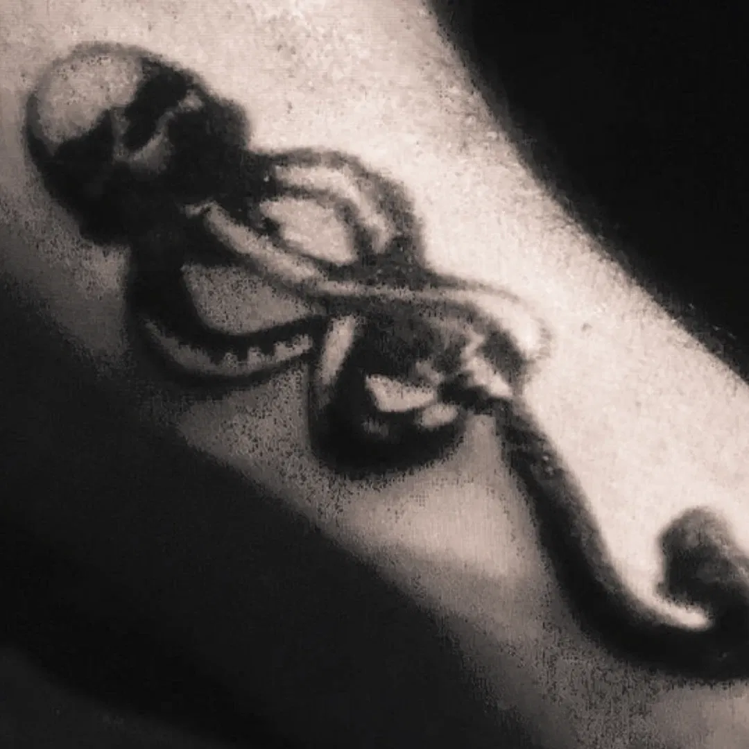 Avatar of Death Eaters